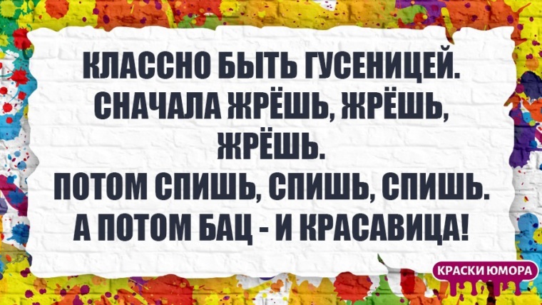 Ешь сначала. Классно быть гусеницей. Хорошо быть гусеницей. Классно быть гусеницей сначала. Классно быть гусеницей сначала жрёшь жрёшь жрёшь.