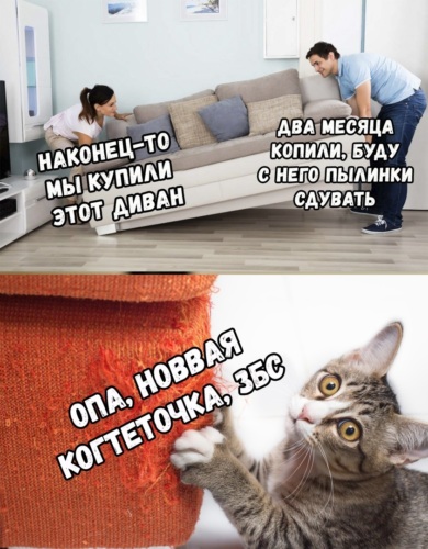 Сядь на диван прикол