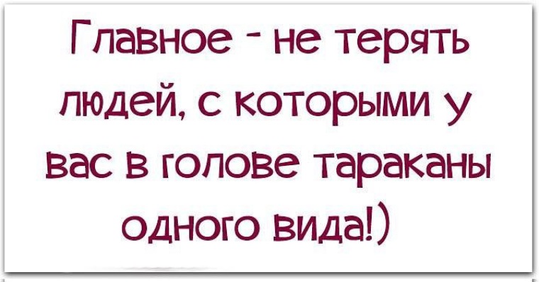 Не терять не свое не чужое. Высказывания про тараканов в голове. Цитаты про тараканов в голове. Статусы про тараканов в голове смешные.