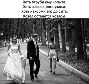 Как сделать так что бы меня видели в скайпе 98 Как сделать так что бы меня видели в скайпе 16