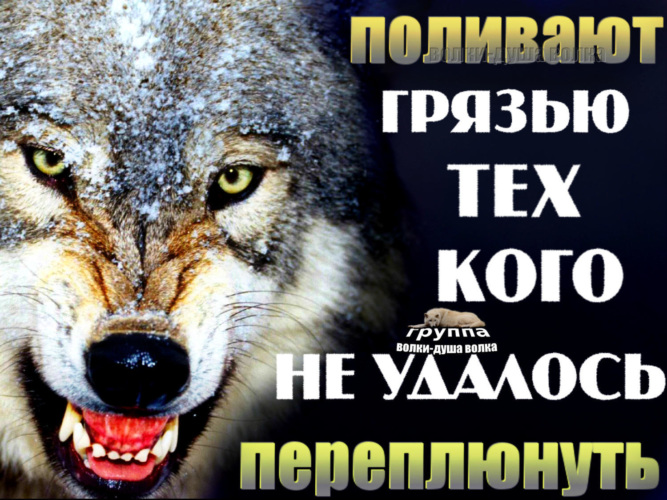 Поливать грязью. Когда не могут переплюнуть стараются оплевать. Поливают грязью. Когда не могут переплюнуть стараются оплевать картинка. Если тебя поливают грязью.