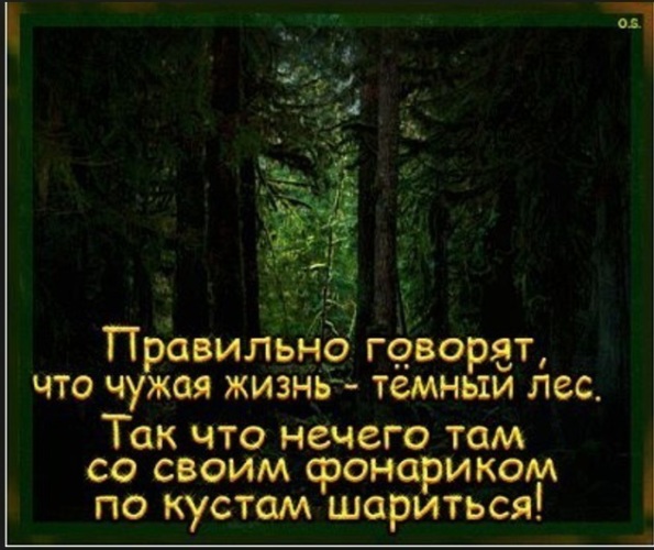 Была твоей но стала там чужой. Чужая жизнь темный лес. Афоризмы про лес. Прикольные фразы про лес. Чужая жизнь темный лес и нечего там.