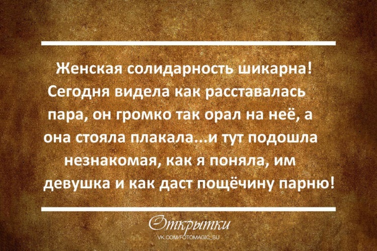 Женская солидарность 13. Женская солидарность цитаты. Женская солидарность это простыми словами. Обманутый муж женская солидарность. Женская солидарность фото.