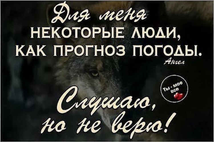 Статусы про тупость людей. Цитаты про мозги. Для меня некоторые люди. Лимит доверия исчерпан. Не как все но как некоторые.