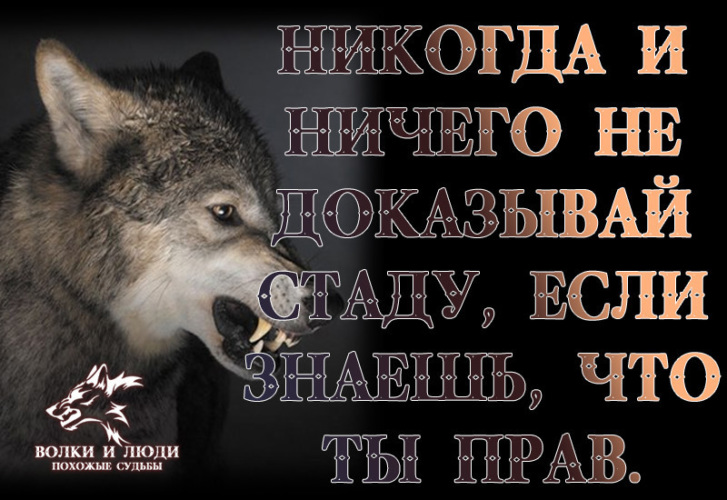 Лента по интересам - Статусы и цитаты - 555404 - Tabor.ru