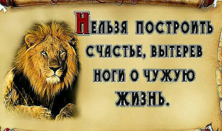 На горе счастья не построишь. Нельзя построить счастье вытерев ноги. Нельзя построить счастье вытерев ноги о чужую жизнь. Вытирая ноги о чужую жизнь. Нельзя построить счастье вытерев ноги о чужую жизнь картинки.