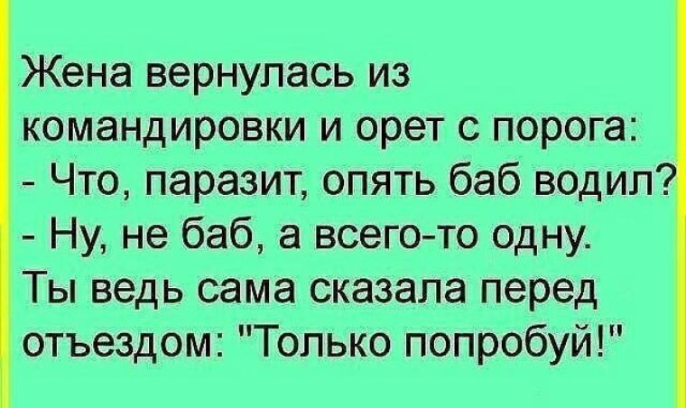 Жена вернулась с юга. Жена вернулась из командировки. Анекдот жена вернулась из командировки. Шутки про командировку. Возвращается жена из командировки анекдот.