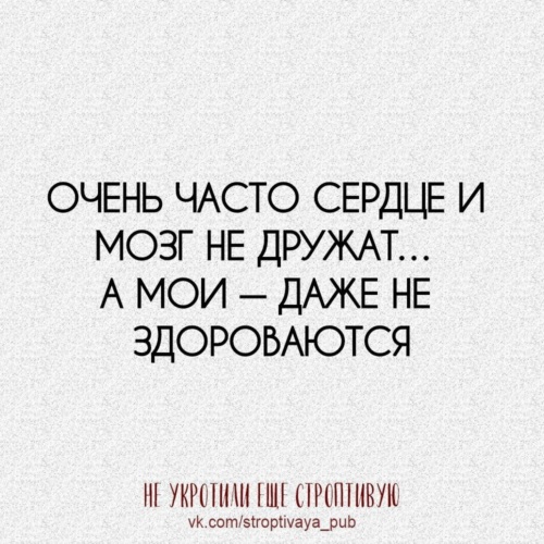 Думай сердцем. Очень часто мозг и сердце не дружат. Думай головой а не сердцем. Мозг и сердце только попробуй влюбиться. Сука только попробуй еще раз влюбиться.