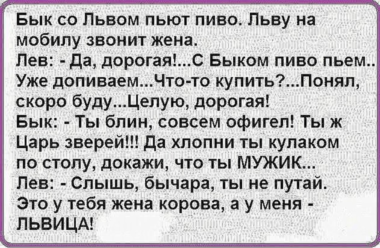 Позвонить жене. Анекдот про Льва и быка. Анекдот про Льва и быка у тебя жена. У тебя жена корова а у меня львица. Анекдот про жену львицу и корову.