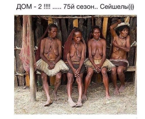 Лента по интересам - Юмор - 86895 - Tabor.ru