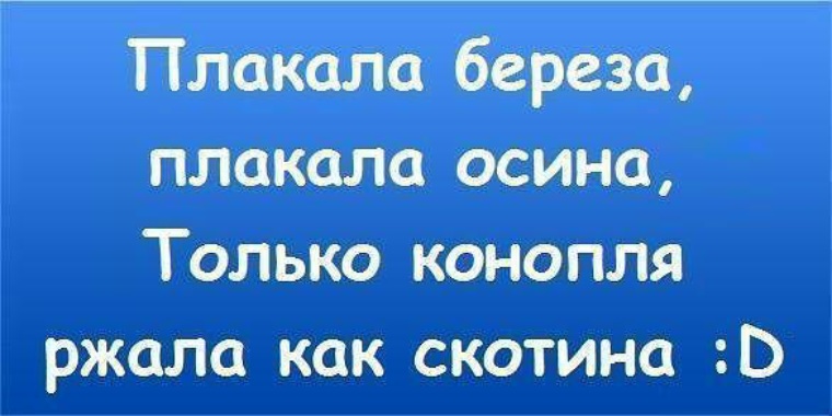 Ревет корень. Ревет корень. Ревет корень. Ревет корень. Дерево с корнями на прозрачном фоне.