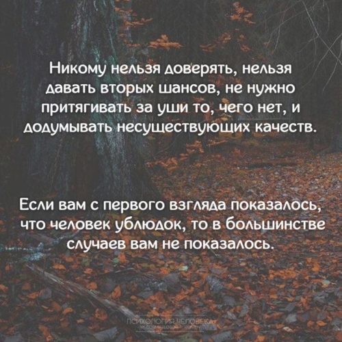 Открытки фотографий, никому нельзя доверять картинки с надписью