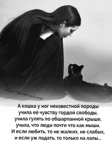 У нее характер кошки