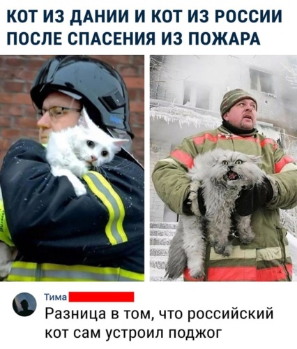Русский и котики