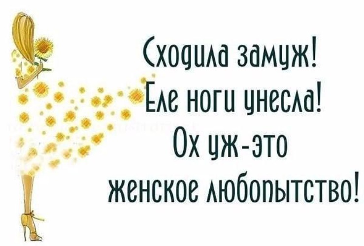 Самый лучший антистресс сладкий сон. Женское любопытство. Женское любопытство цитаты. Цитаты про любопытных женщин. Фразы про любопытство прикольные.