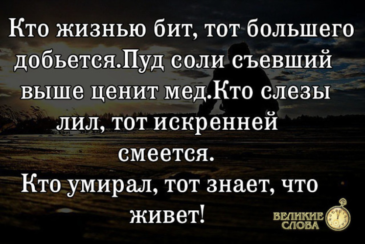 То большего в том. Кто битым жизнью был. Кто жизнью бит тот большего добьется. Кто битым жизнью был тот большего. Кто битым был тот большего добьется пуд соли съевший выше ценит мед.