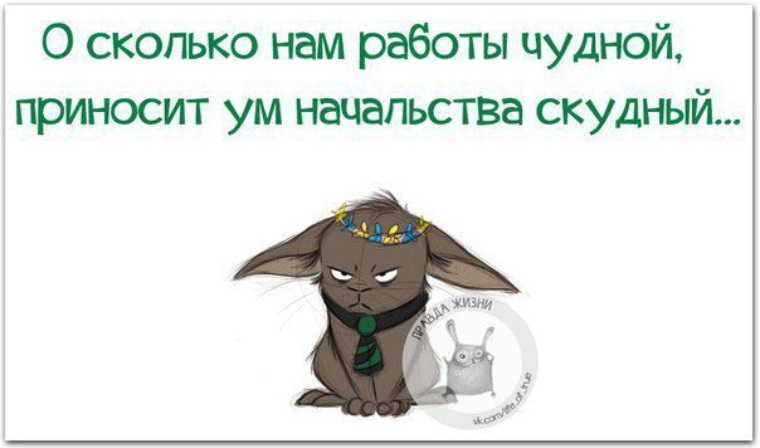 Он твой начальник