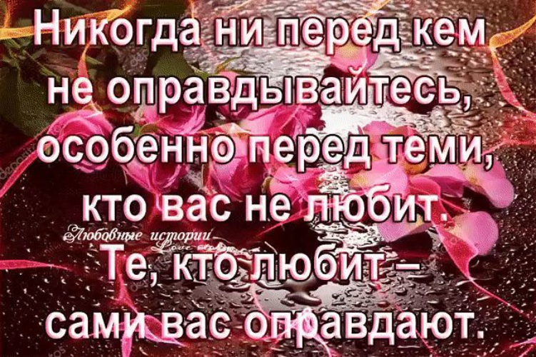 Ни перед кем. Никогда не перед кем не оправдывайтесь. Никогда ни перед кем не оправдывайтесь особенно перед теми. Никогда не оправдывавайтесь перед темикто ва.не любит. Не оправдывайтесь не перед кем.