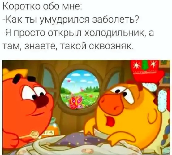 Смешарики мемы смешные с надписями до слез