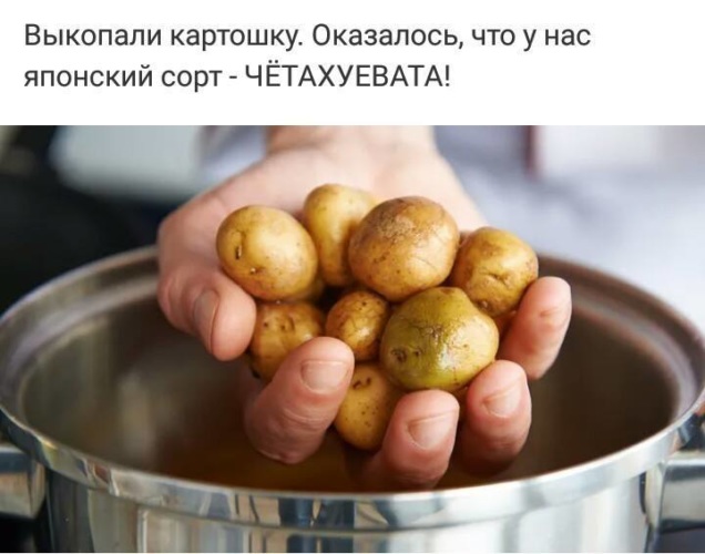 Смешные картинки про картошку