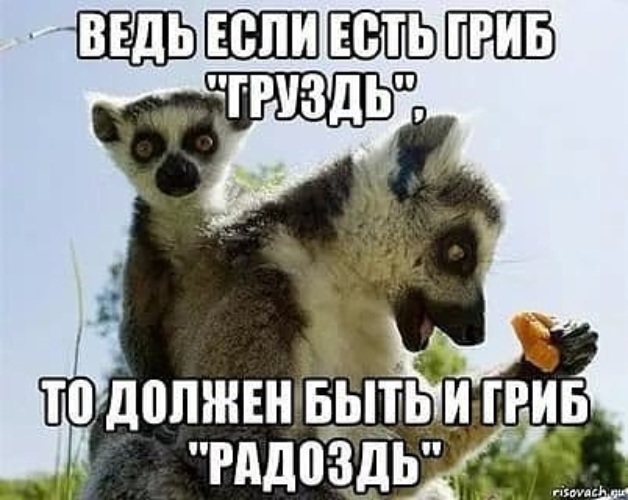 Для бро не должно быть жалко шлюшки Для бро не должно быть жалко шлюшки
