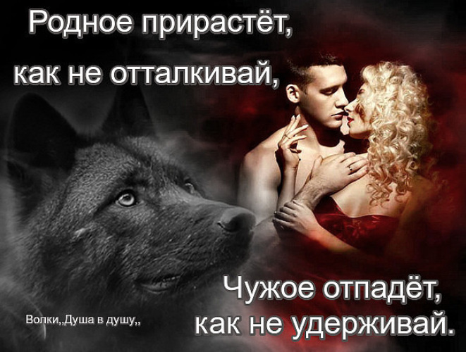 Правда жизни. Цитаты про душу. Ревность картинки со смыслом. Только расставшись понимаешь. Разрушить всегда легче чем построить.