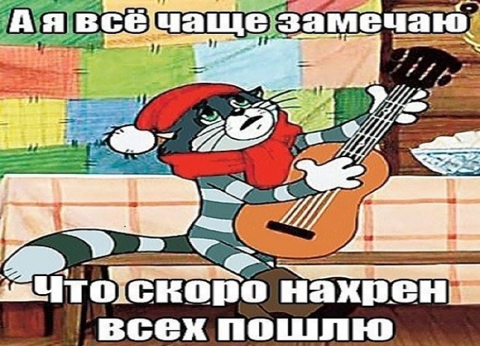 Нахрена. Матроскин. Настроение уехать с котом в Простоквашино. Кот Матроскин картинки. Кот Матроскин смешной.