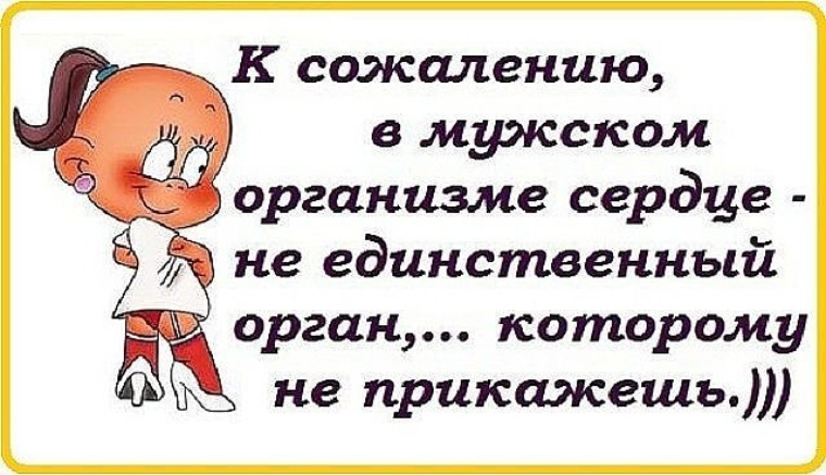 Не единственный. В мужском организме сердце не единственный орган. Сердце не единственный орган которому не прикажешь. Анекдот сердцу не прикажешь. В мужском организме не только сердцу не прикажешь.