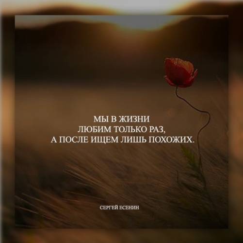 Картинка с надписью мы в жизни любим только раз