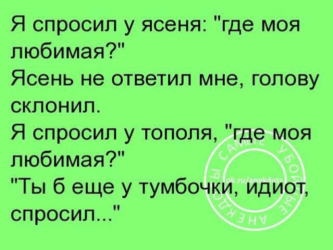 Минусовка ясень. Я спросил у ясеня. Спроси у ясеня. Я спросил у ясеня текси. Я спросил у тополя.