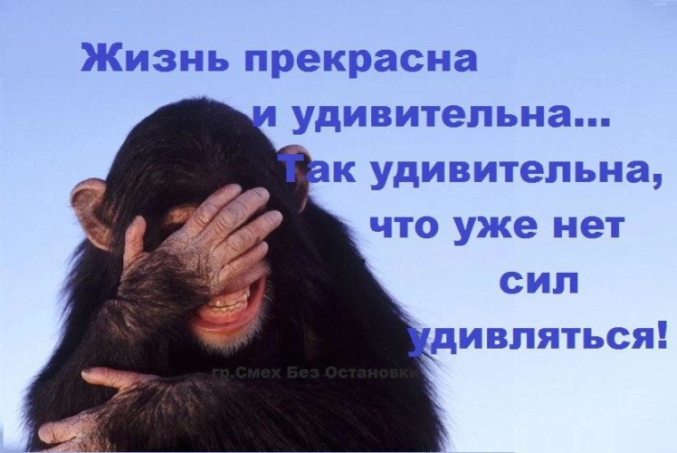 Открытки, картинка с надписью жизнь прекрасна и удивительна если выпить предварительно