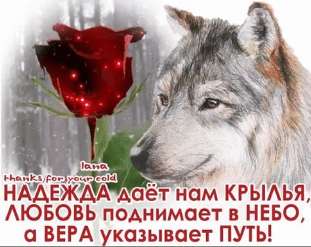 Hope day. Надежда дает нам Крылья. Надежда даёт нам Крылья любовь поднимает в небо а Вера указывает путь. Дать надежду. Надежда дает нам ложные.