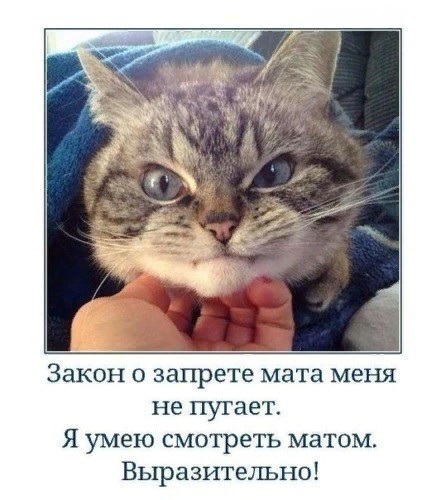 Смотрит матом