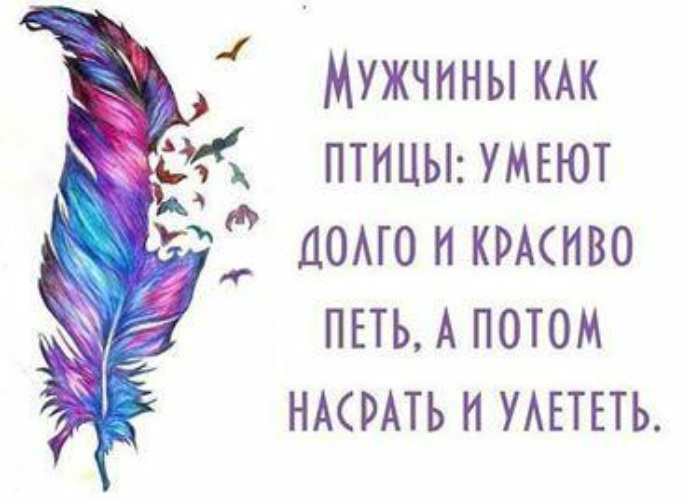 А птицы не умеют. Мужчины как птицы. Мужики как птицы. Мужчины как птицы умеют долго. Некоторые мужчины как птицы.