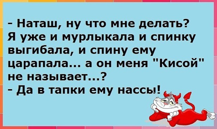 Ну что мне делать. Наташа что мне делать я уже и мурлыкала. Анекдот про кису. Анекдот он меня сукой обозвал. Анекдот а что делать что делать.