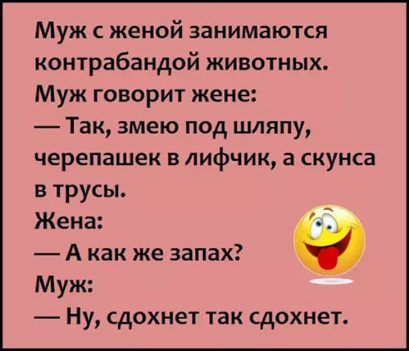 Жена занимает. Анекдоты про мужа. Анекдоты про мужа и жену. Анекдот муж с женой занимаются. Муж с женой занимаются контрабандой животных анекдот.