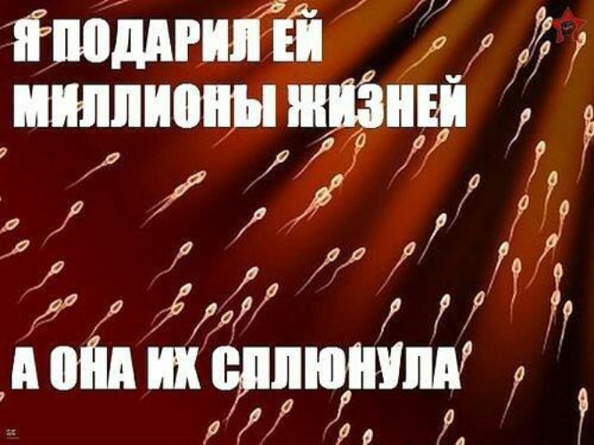 Просто подари мне. Он подарил ей миллионы жизней. Я подарил тебе миллион жизней. Спермограмма Мем. Сперматозоид смешные картинки.