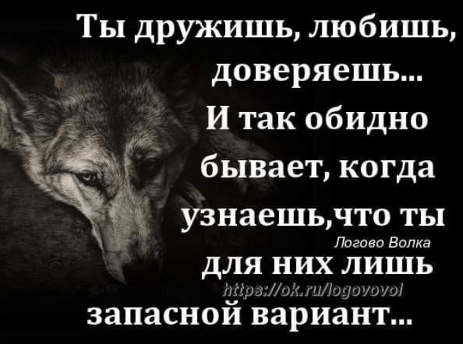 В первую минуту мне стало обидно они. Обидно цитаты. Цитаты про обидные слова. Статусы с волками. Обидные статусы.