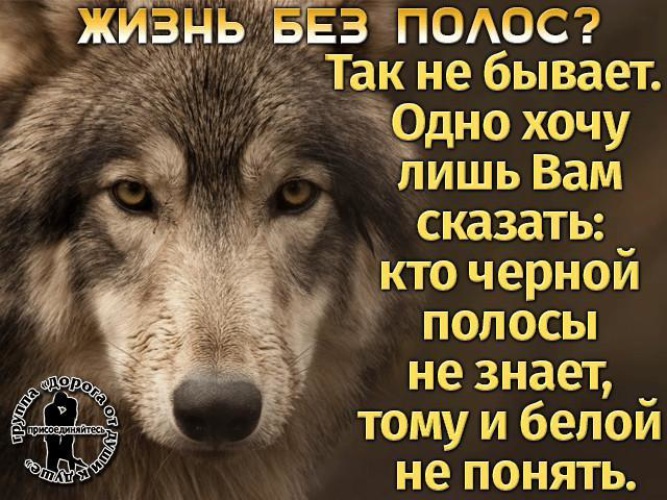 Для этого вам всего лишь. Кто чёрной полосы не видел тому и белой не понять картинки с надписями.