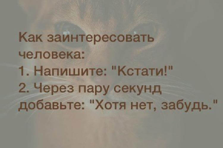 Что значит заинтриговать. Как заинтересовать человека кстати. Как заинтересовать человека напишите кстати. Кстати как пишется. Заинтересовала как пишется.