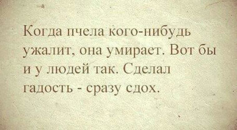 Вот бы. Фразы про гнилых людей. Веселые изречения про брата и сестру. Люди которые делают гадости. Цитаты про людей которые делают гадости.