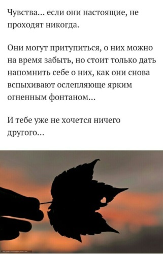 Чувства проходят. Цитаты о настоящих чувствах. Настоящие чувства цитаты. Слова и чувства. Стихи про настоящие чувства.