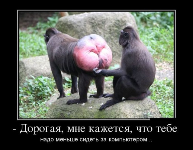 днях видел, кутак баш существует картинки итоге