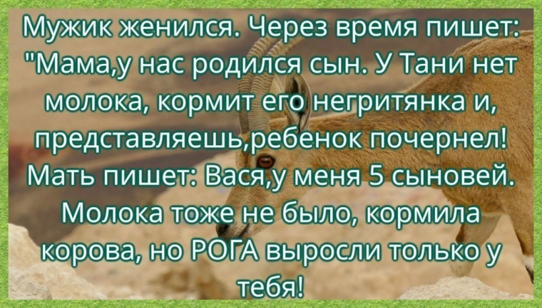 Лента по интересам - Юмор - 763157 - Tabor.ru