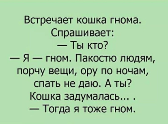 Встретила кошку. Анекдот про кошку и гнома. Встречает кошка гнома. Анекдот про гнома. Анекдот про гномика.