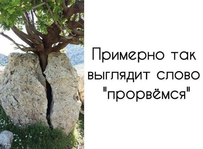Лента по интересам - 1295400 - Tabor.ru