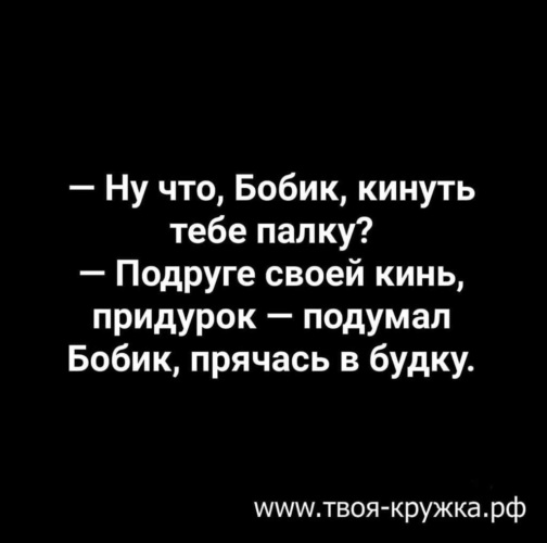 Подарил цветы и кинул зрелой палку Подарил цветы и кинул зрелой палку