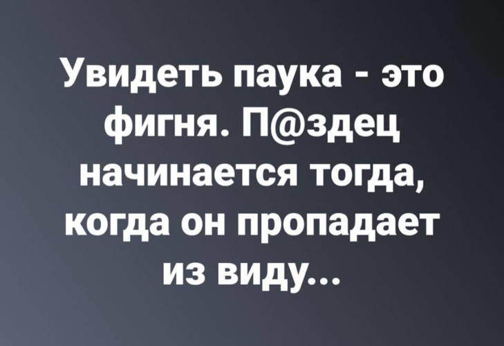 Фигня это. Увидеть паука это фигня по настоящему. Увидеть паука этот фигня. Сорок лет это фигня.