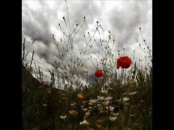 Песня чили маки. Маки песня чили. Там где цветут маки песня. Песня чили маки. Чили забияка.