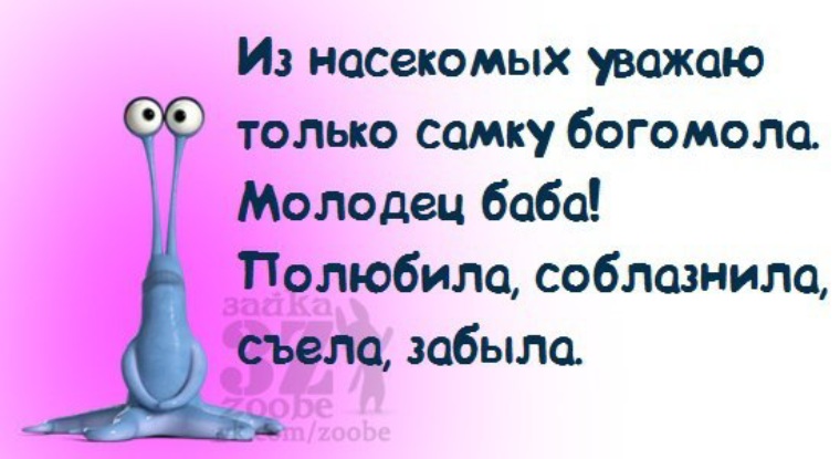 Молодец баба никого не сдала. Молодец баба. Из насекомых уважаю самку богомола молодец. Толстой молодец баба. Молодец баба что так называлось.